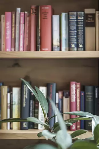 Zweistöckiges Bücherregal mit verschiedenen Büchern 