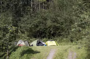 Vier verschiedene Zelte auf einem Campingplatz