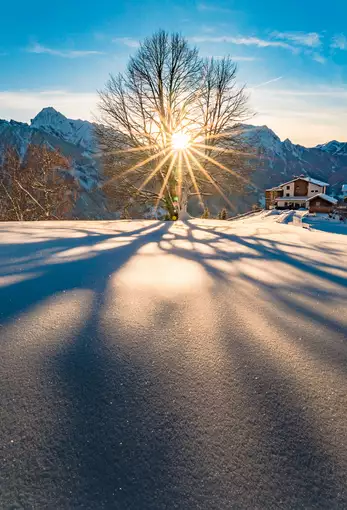 Winterlandschaft mit Sonnenuntergang hinter einem Baum