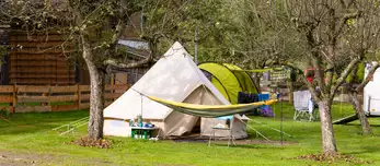 Campingplatz mit rundem Zelt und Hängematte